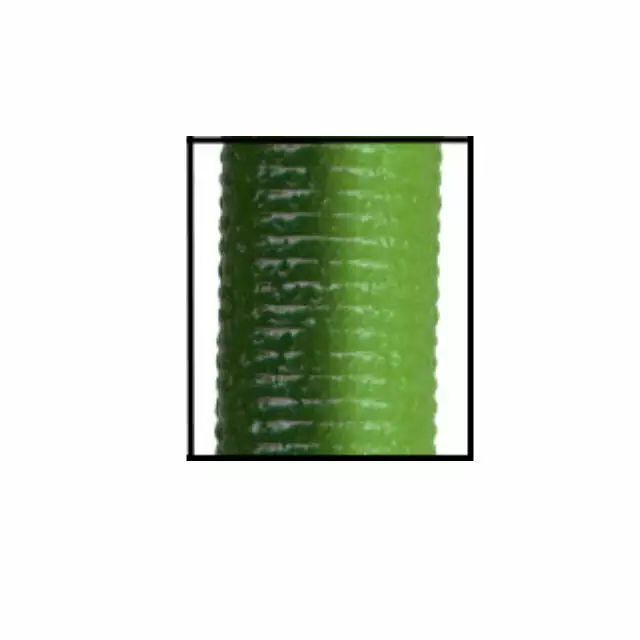 Gary Yamamoto 5" Watermelon & Lemon Laminate Yamasenko Plastic Bait