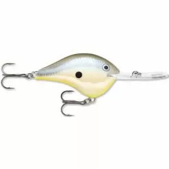 Rapala DT-6 Disco Shad Lures
