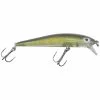 BAY RAT SS SERIES STICK BAITS: RIDIN DIRTY Lures