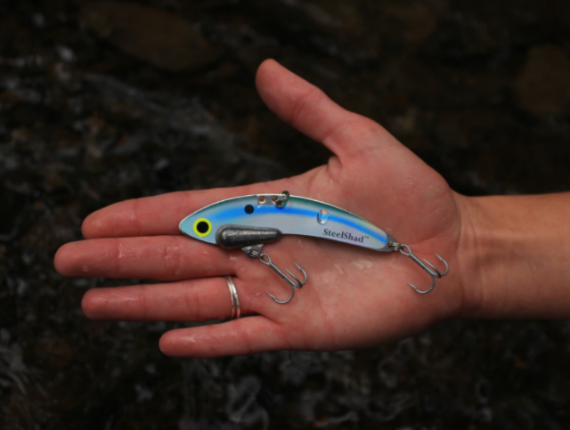 SteelShad XL - 3/4 Oz - Kentucky Shad Lures