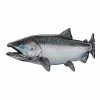 Fat Nancy's Tackle Shop Salmon Decals
